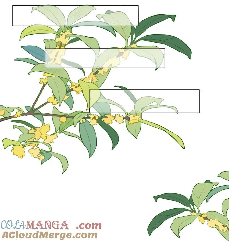 85 丽莎的计划 第35页