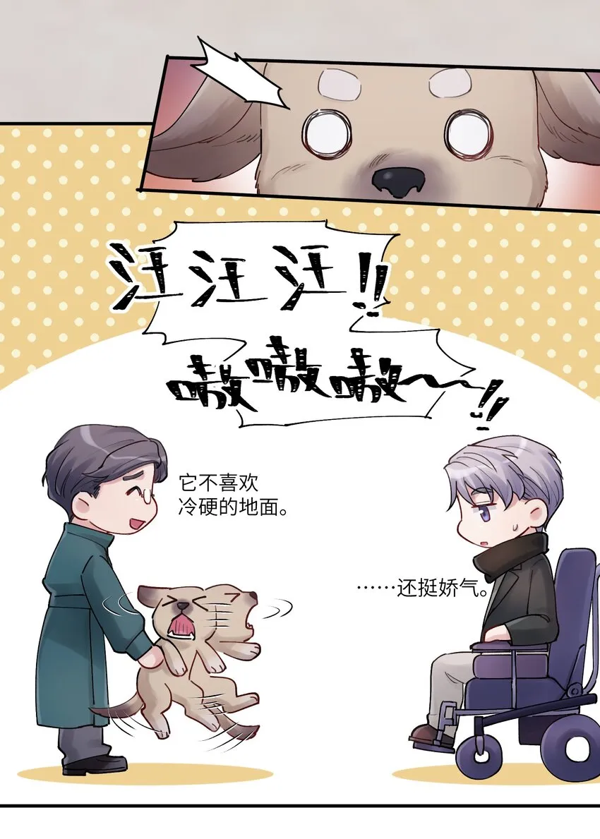 第43章 结束了？ 第11页