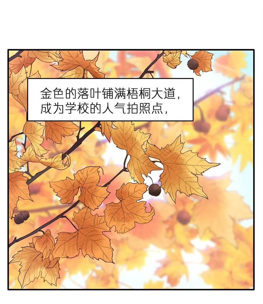 第31章 不能释怀也没关系 第39页