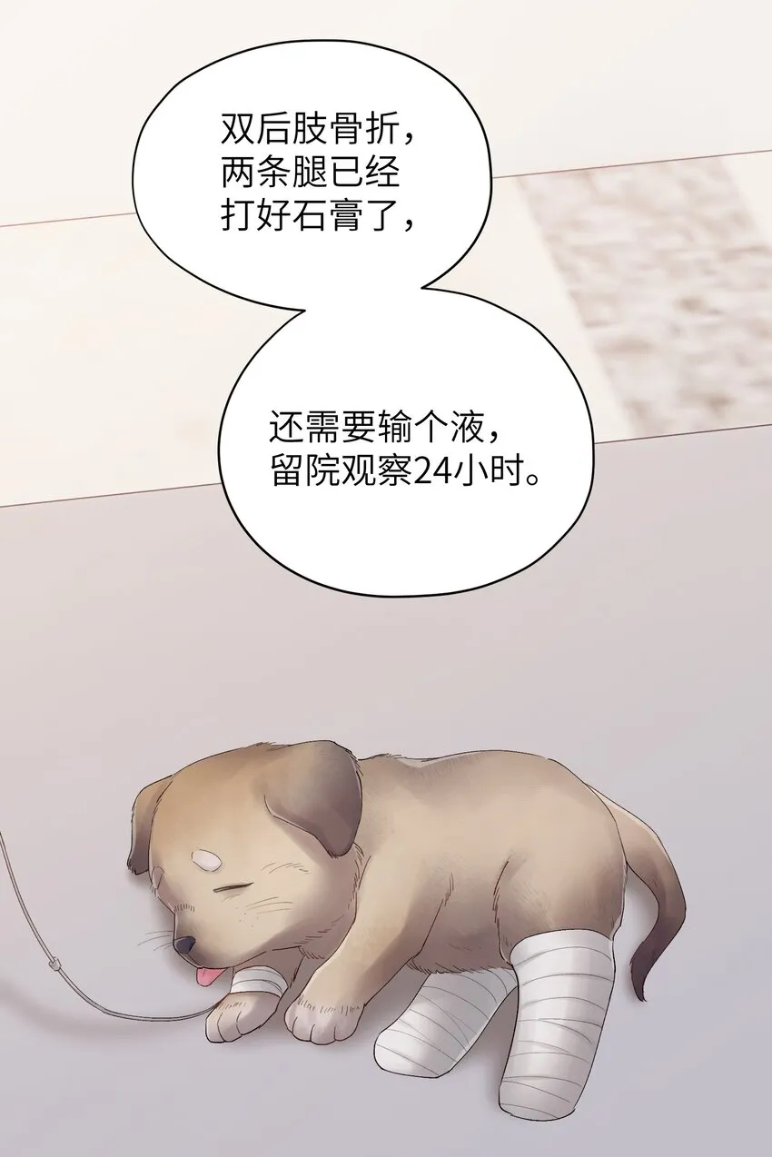 第23章 弟弟 第5页