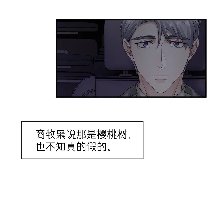 第17章 只是尘埃 第12页