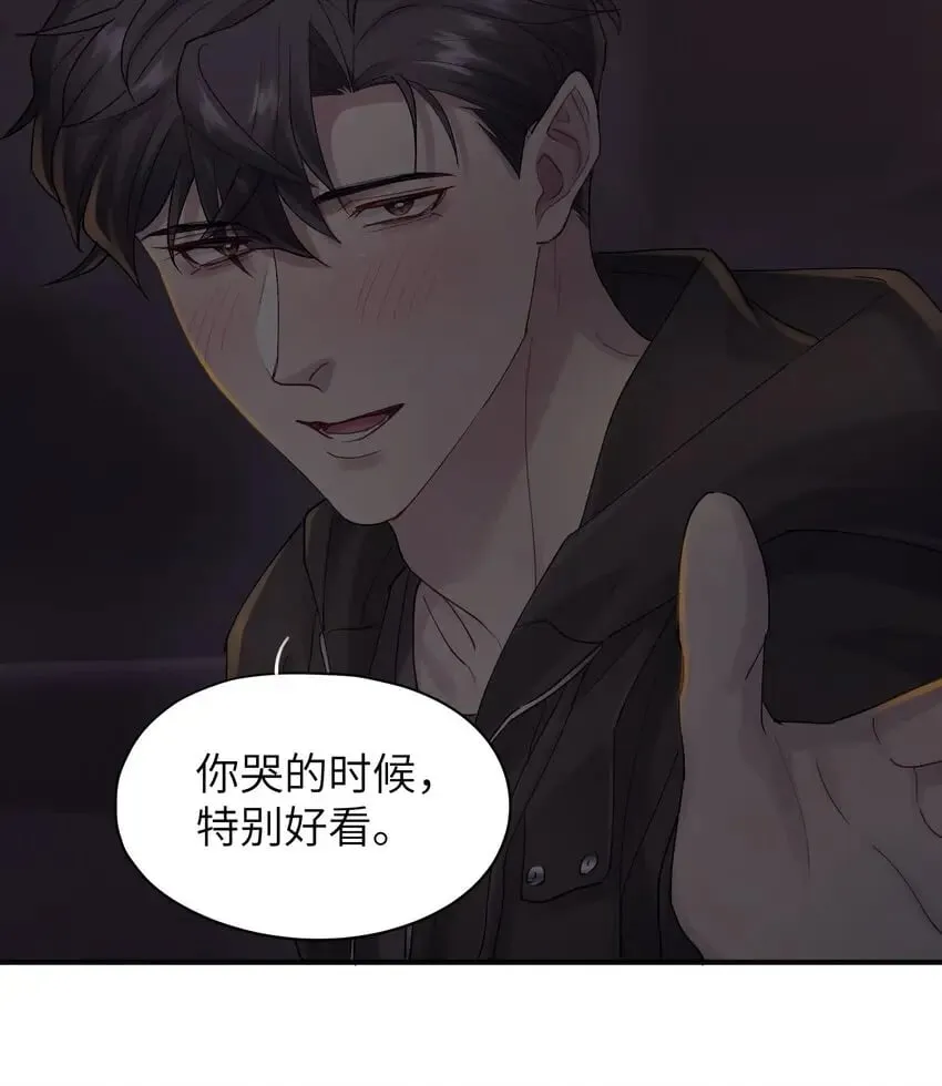 第48章 你哭的时候特别好看 第11页