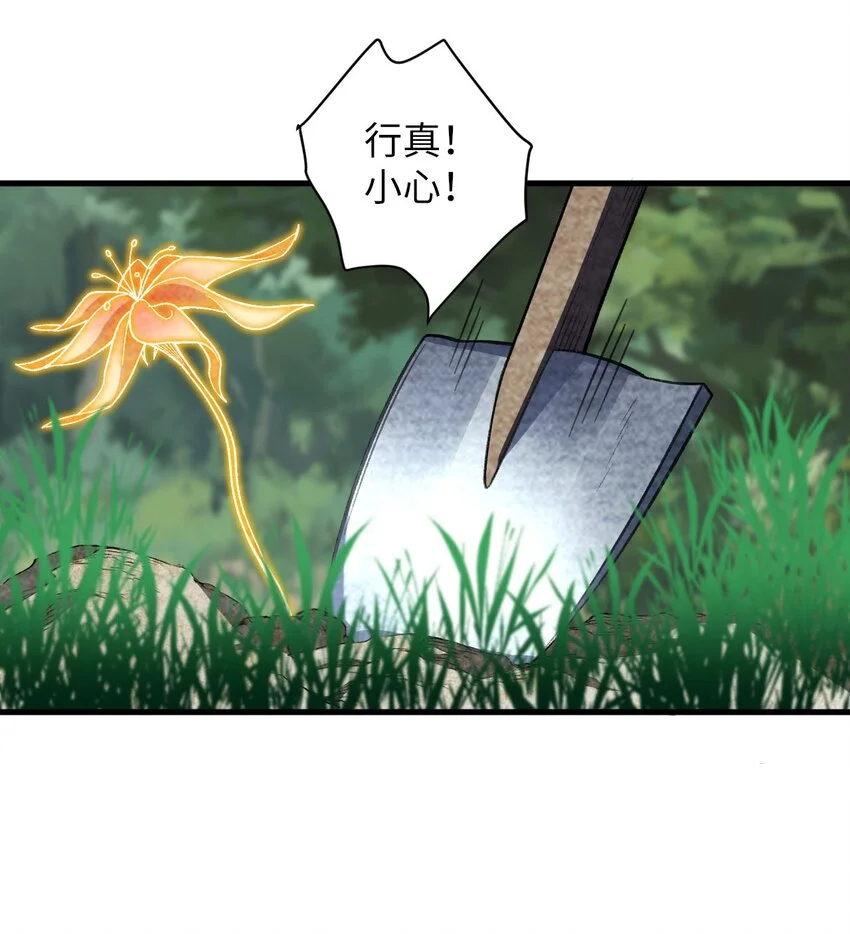 18 危机！斑斓虎出没 第48页