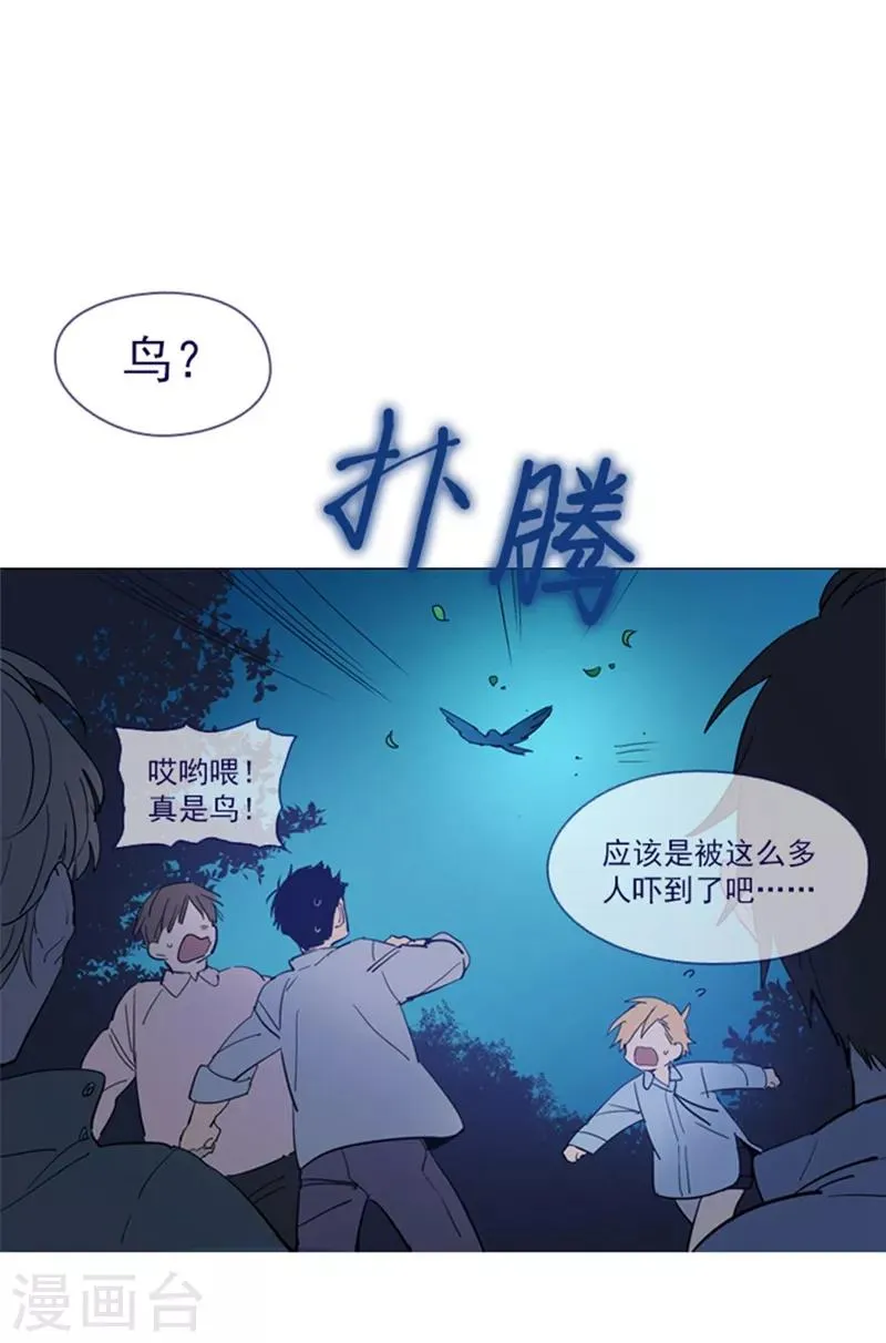 第14话 科迪莉亚 第51页