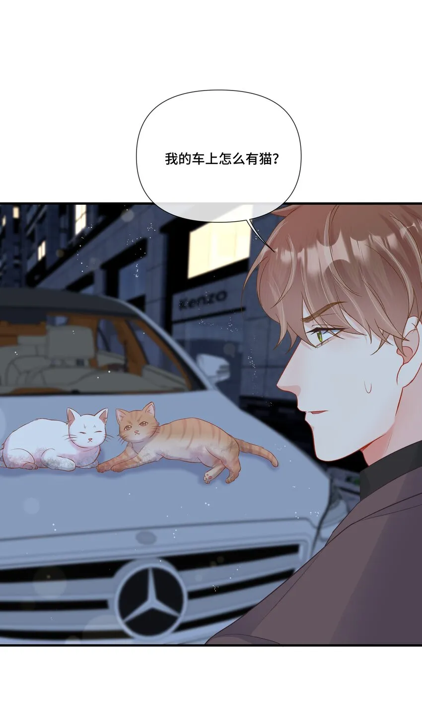 第19话 他终于回来看我了 第14页