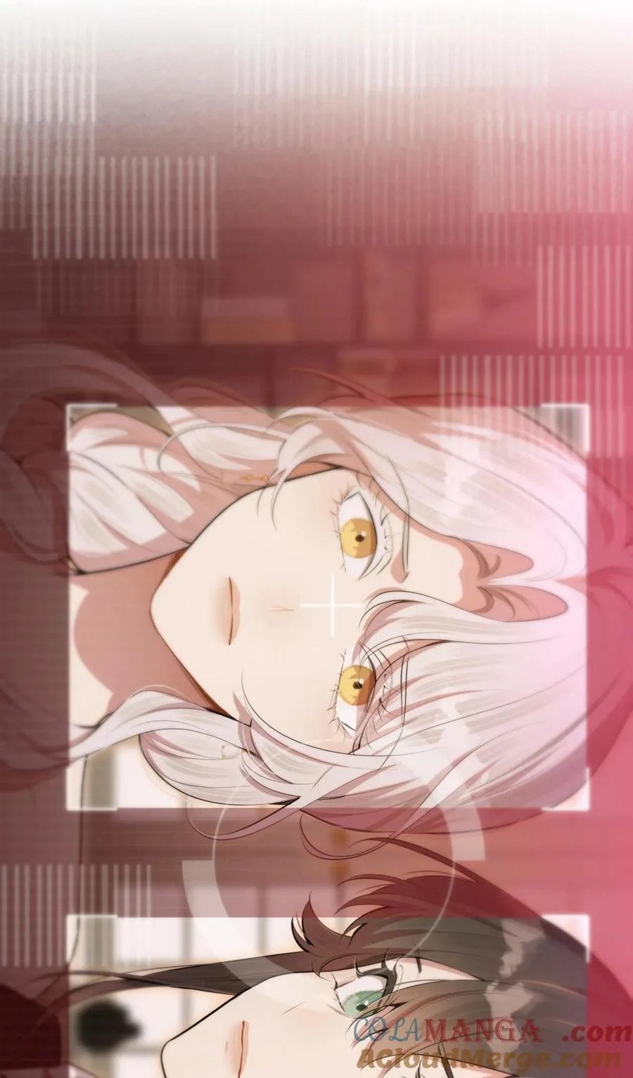 第49话 一线生机 第13页