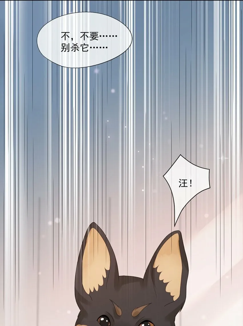 第29话 要做脱敏治疗吗？ 第7页