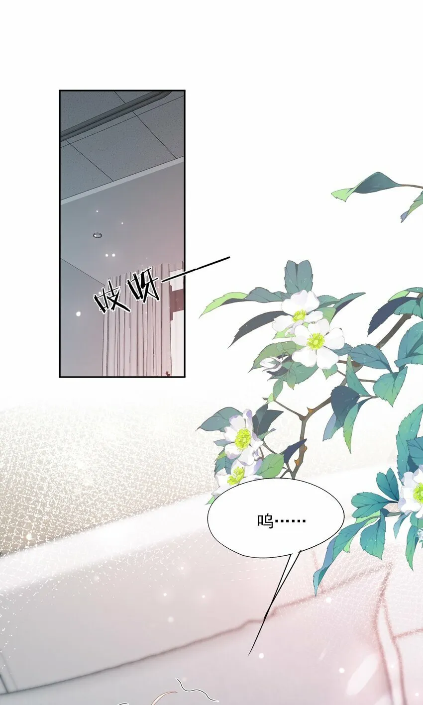 第33话 像小刺猬一样可爱 第9页