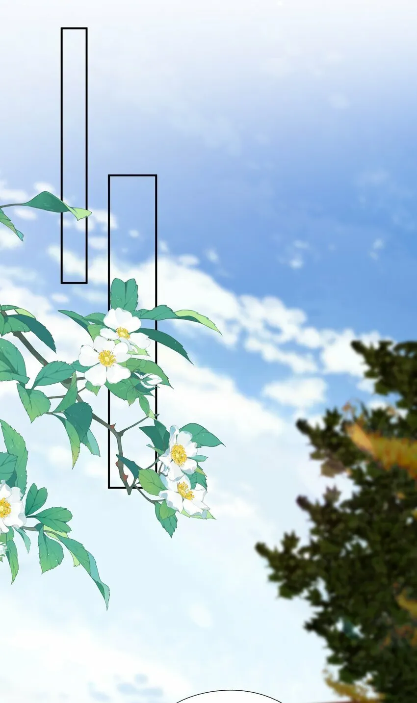 第36话 蒋云苏回来了？ 第13页