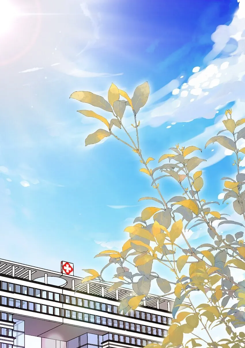 第52话 我会努力养蒋医生的！ 第3页