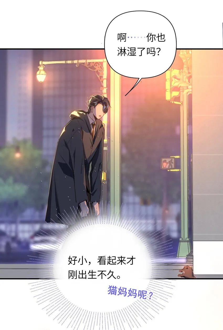004 捡到猫了！ 第12页
