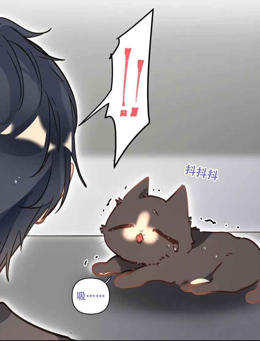 004 捡到猫了！ 第19页