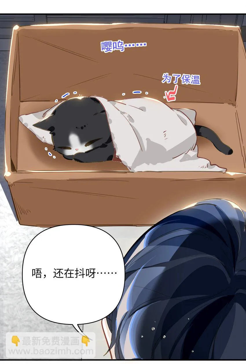 004 捡到猫了！ 第28页