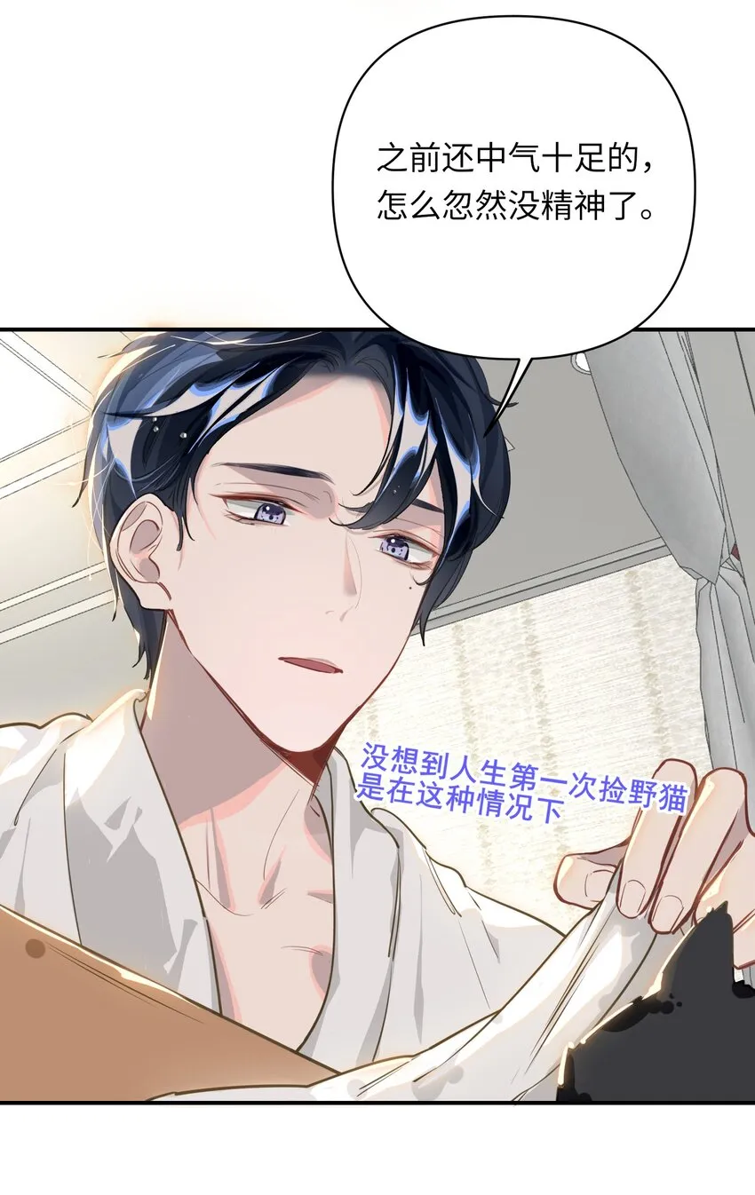 004 捡到猫了！ 第29页