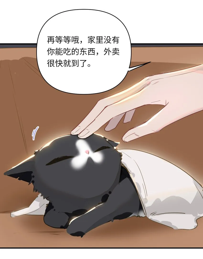 004 捡到猫了！ 第32页