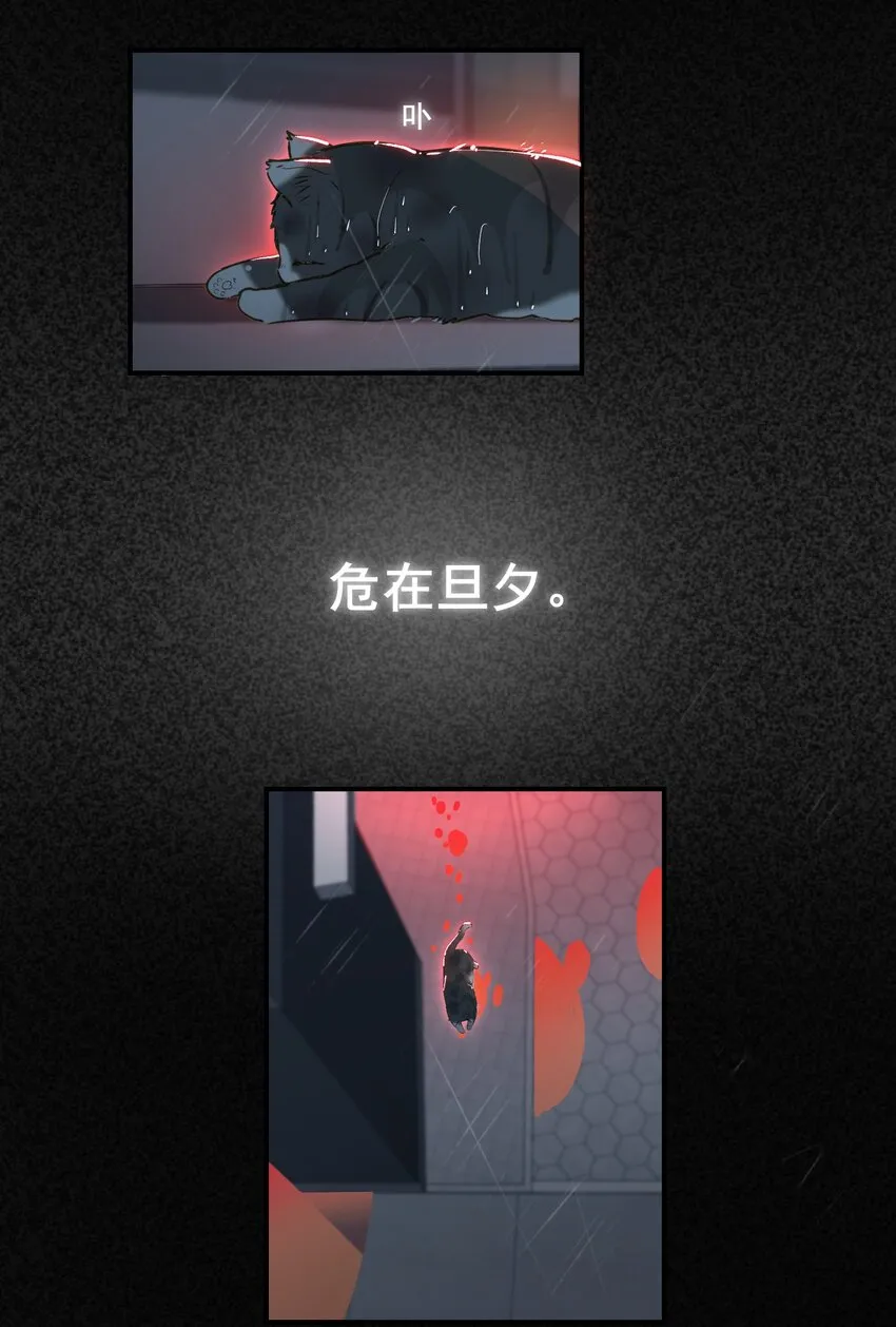 003 杀人现场？！ 第41页