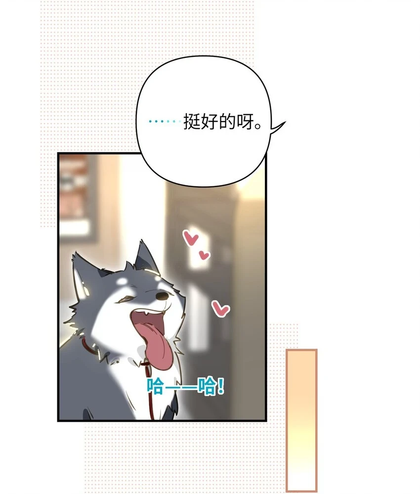 007 又有何事 第5页