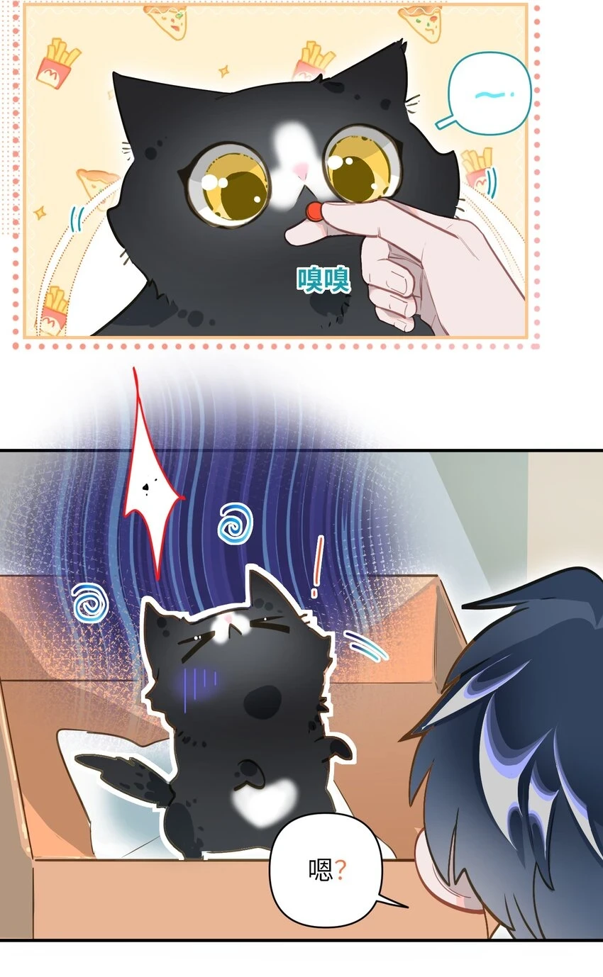 008 为什么？！ 第28页