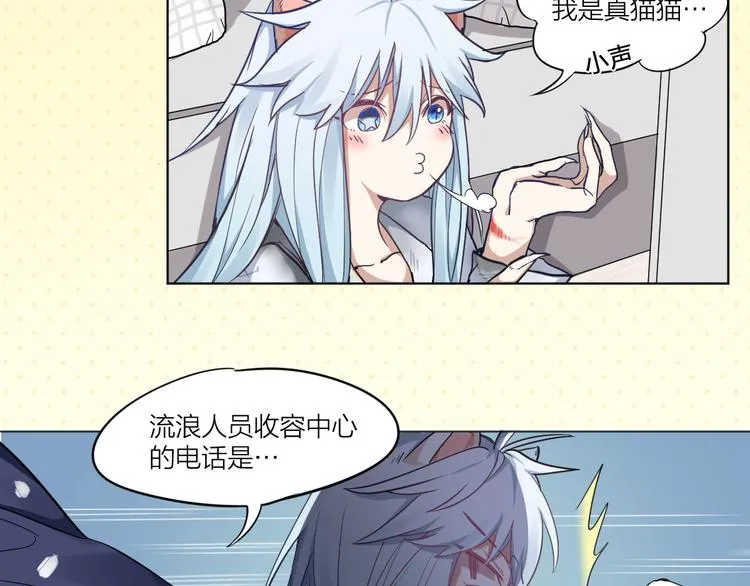 第3话 猫咪肚皮手感棒 第7页