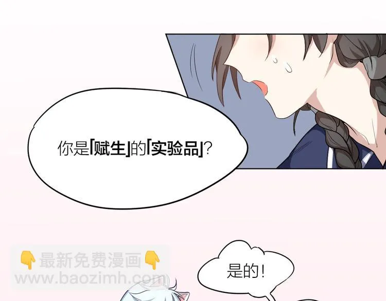 第3话 猫咪肚皮手感棒 第35页