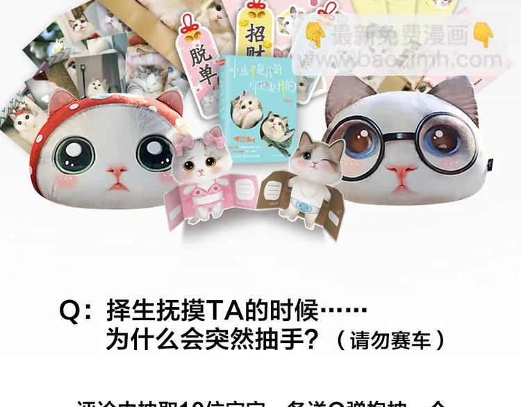 第3话 猫咪肚皮手感棒 第51页