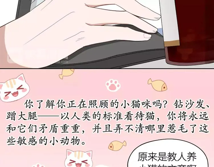 第8话 我的室友是只猫 第11页