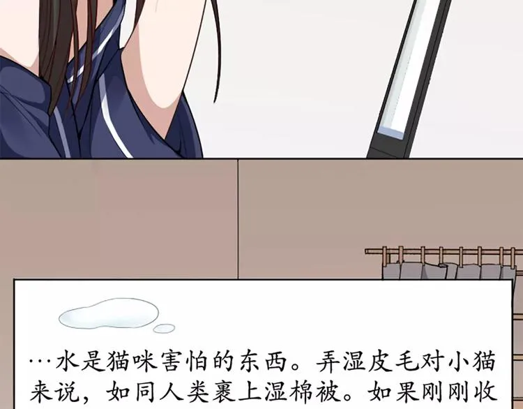 第8话 我的室友是只猫 第14页