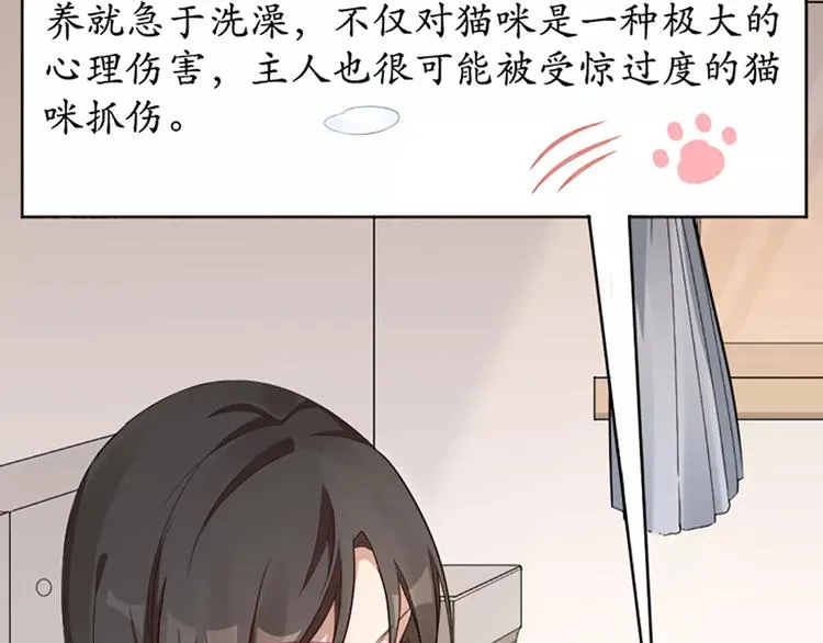 第8话 我的室友是只猫 第15页