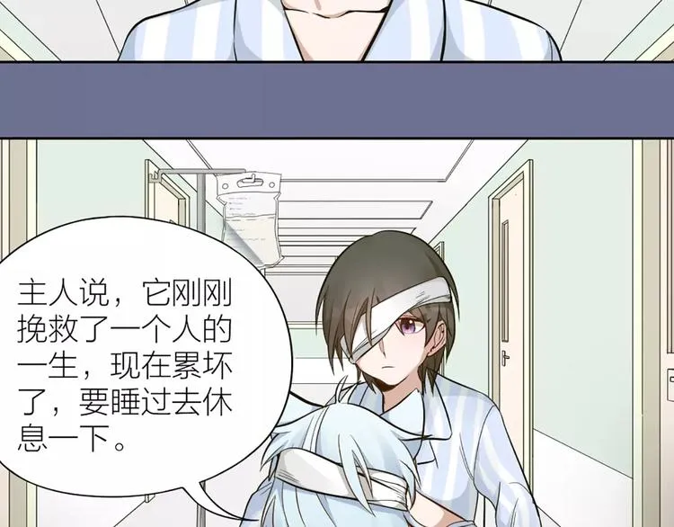 第11话 你是我的小可爱 第13页