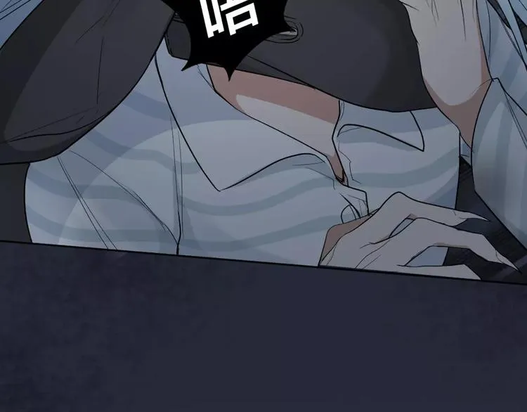 第13话 我的宠物，我来保护 第12页