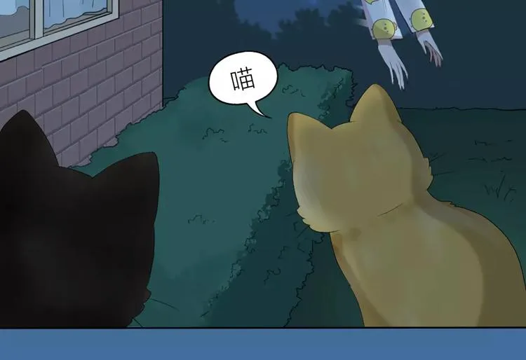 第20话 猫男的秘密 第39页