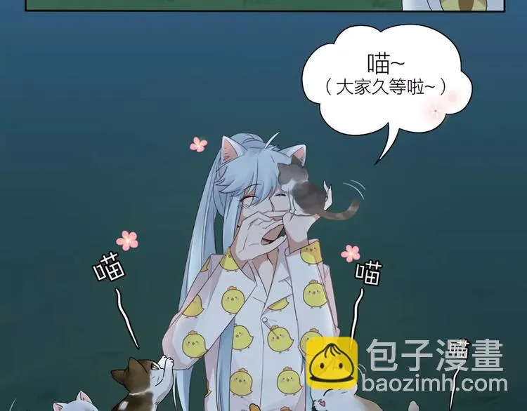 第20话 猫男的秘密 第41页