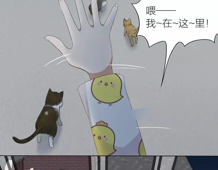 第20话 猫男的秘密 第67页