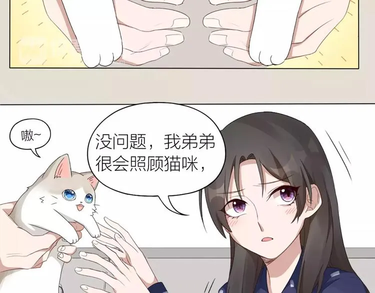 第22话 绝育手术？ 第8页