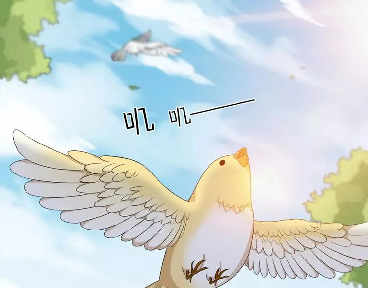 第35话 猫咪的坚持 第35页