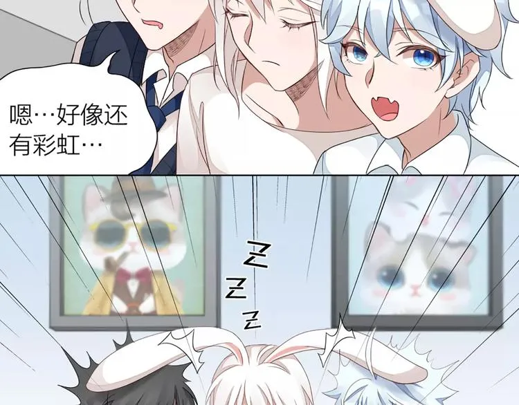 第35话 猫咪的坚持 第37页