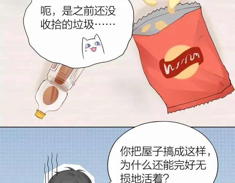 第35话 猫咪的坚持 第43页