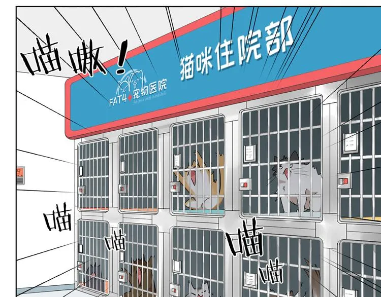 第58话 性感护工，在线撸猫 第39页