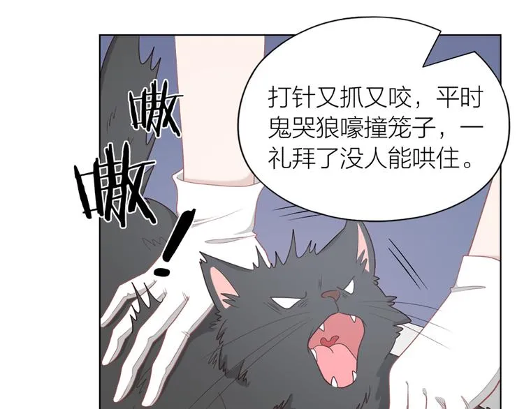第58话 性感护工，在线撸猫 第43页