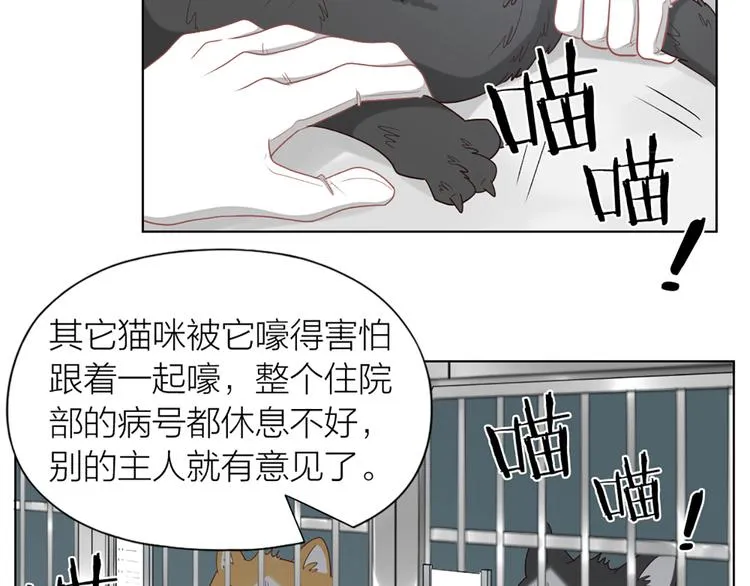 第58话 性感护工，在线撸猫 第44页