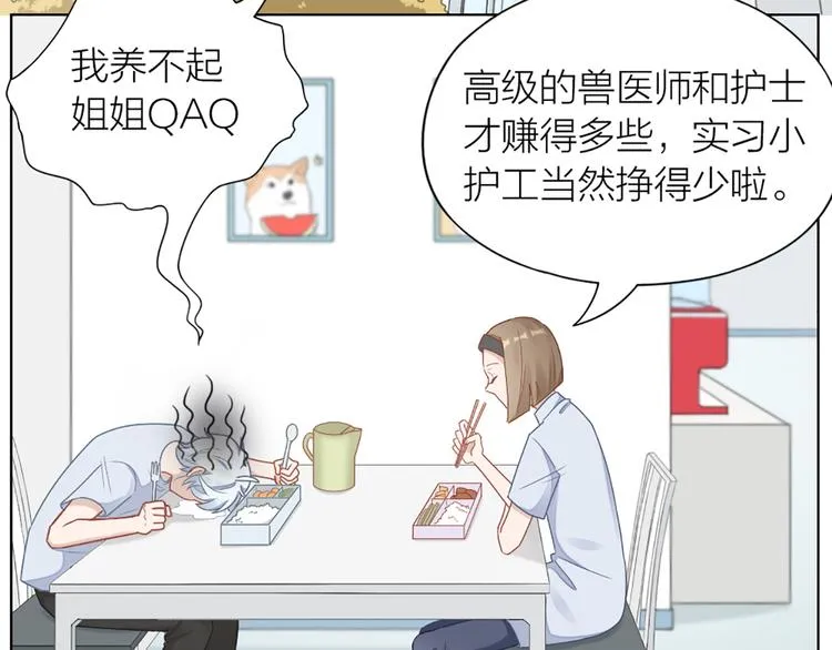 第67话 猫猫想上学 第11页