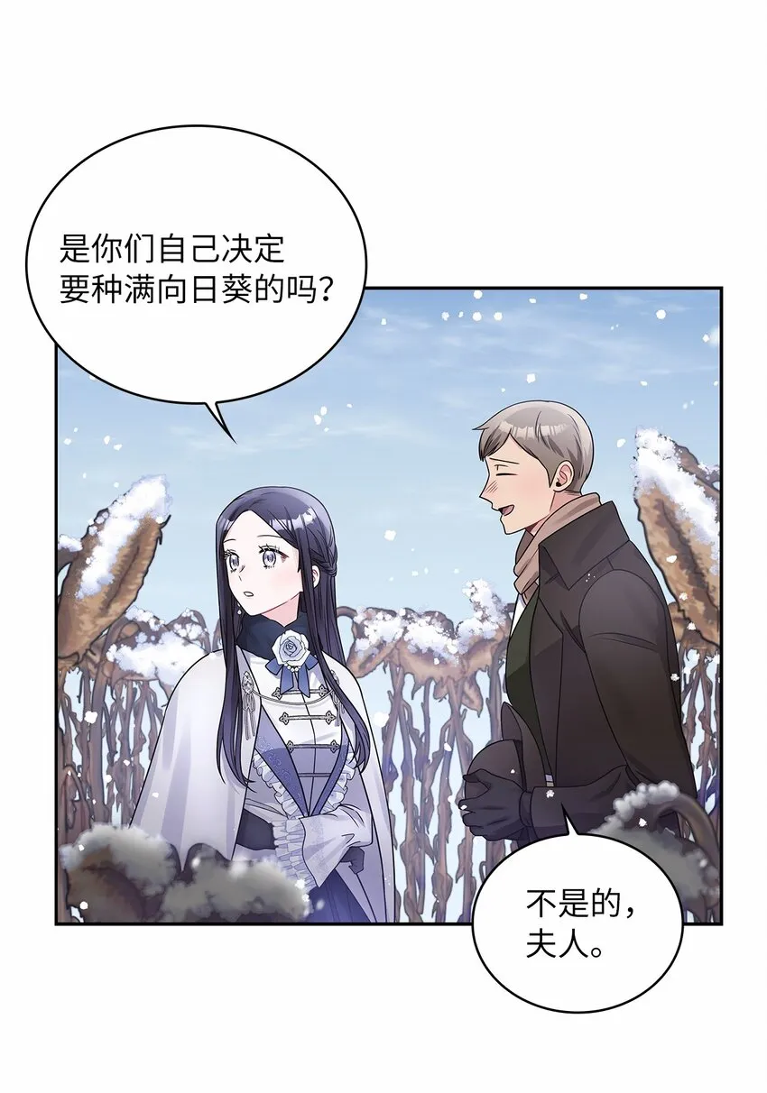 42 金灿灿的向日葵 第43页