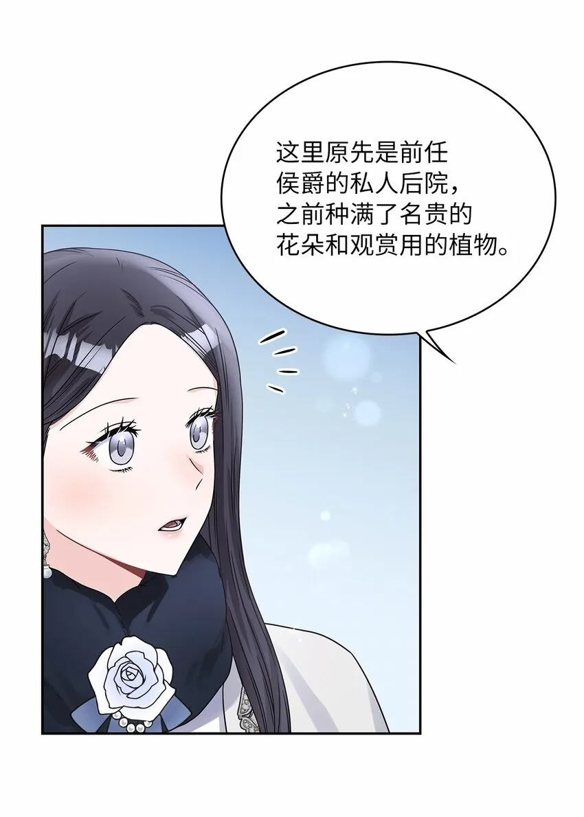 42 金灿灿的向日葵 第44页