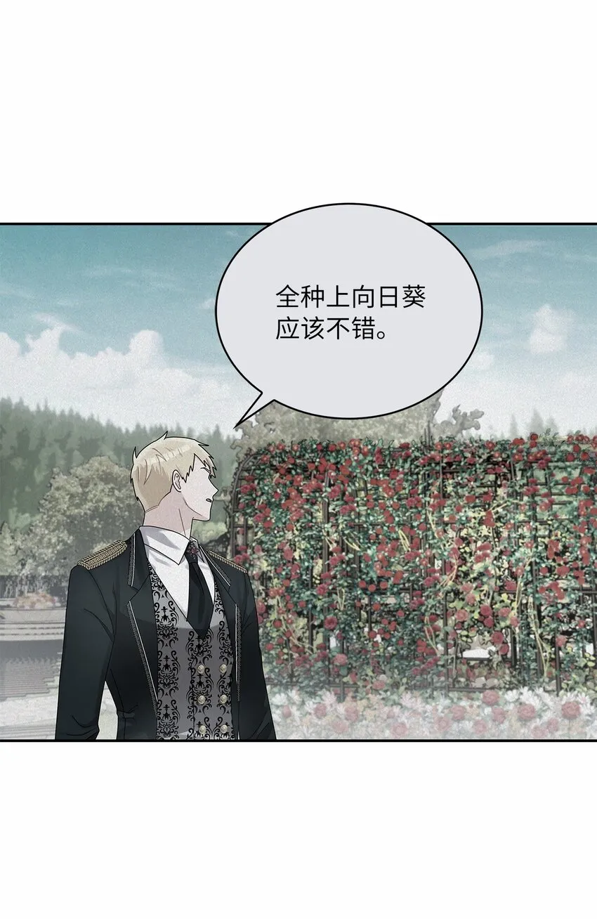 42 金灿灿的向日葵 第46页