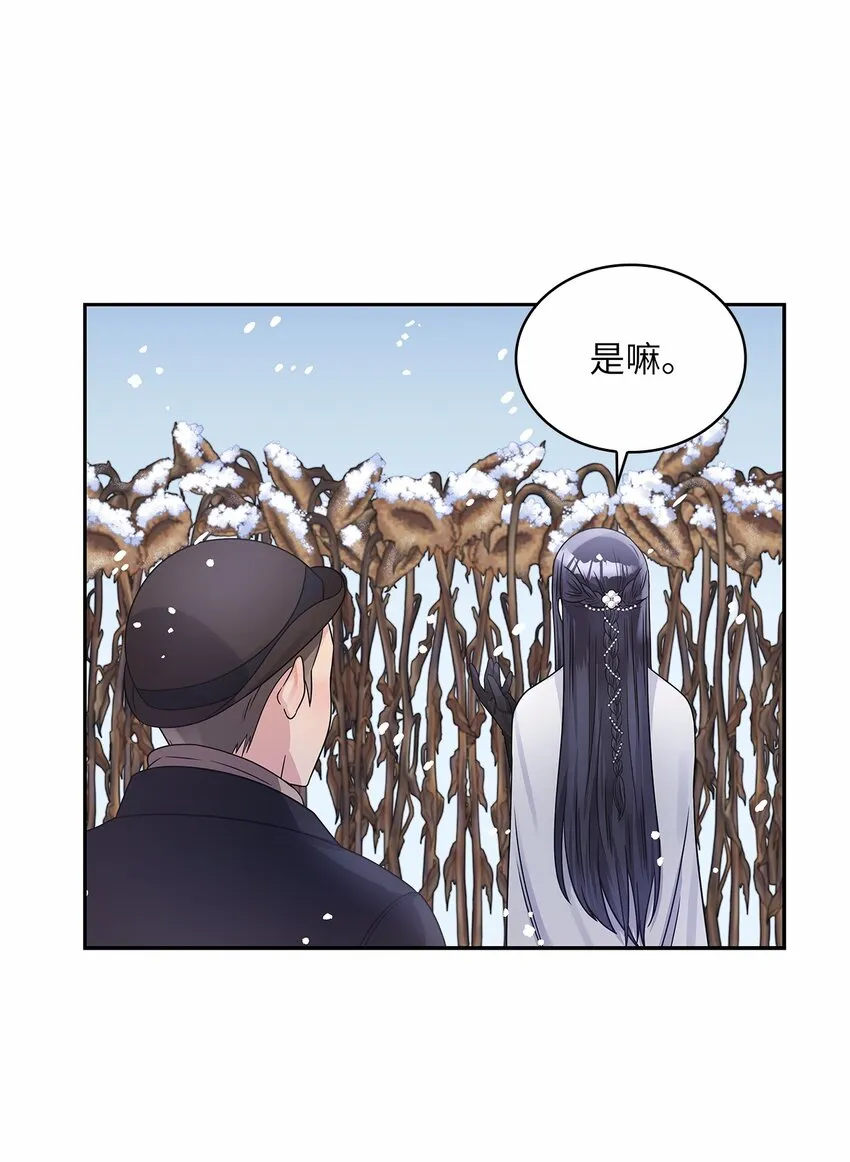 42 金灿灿的向日葵 第51页