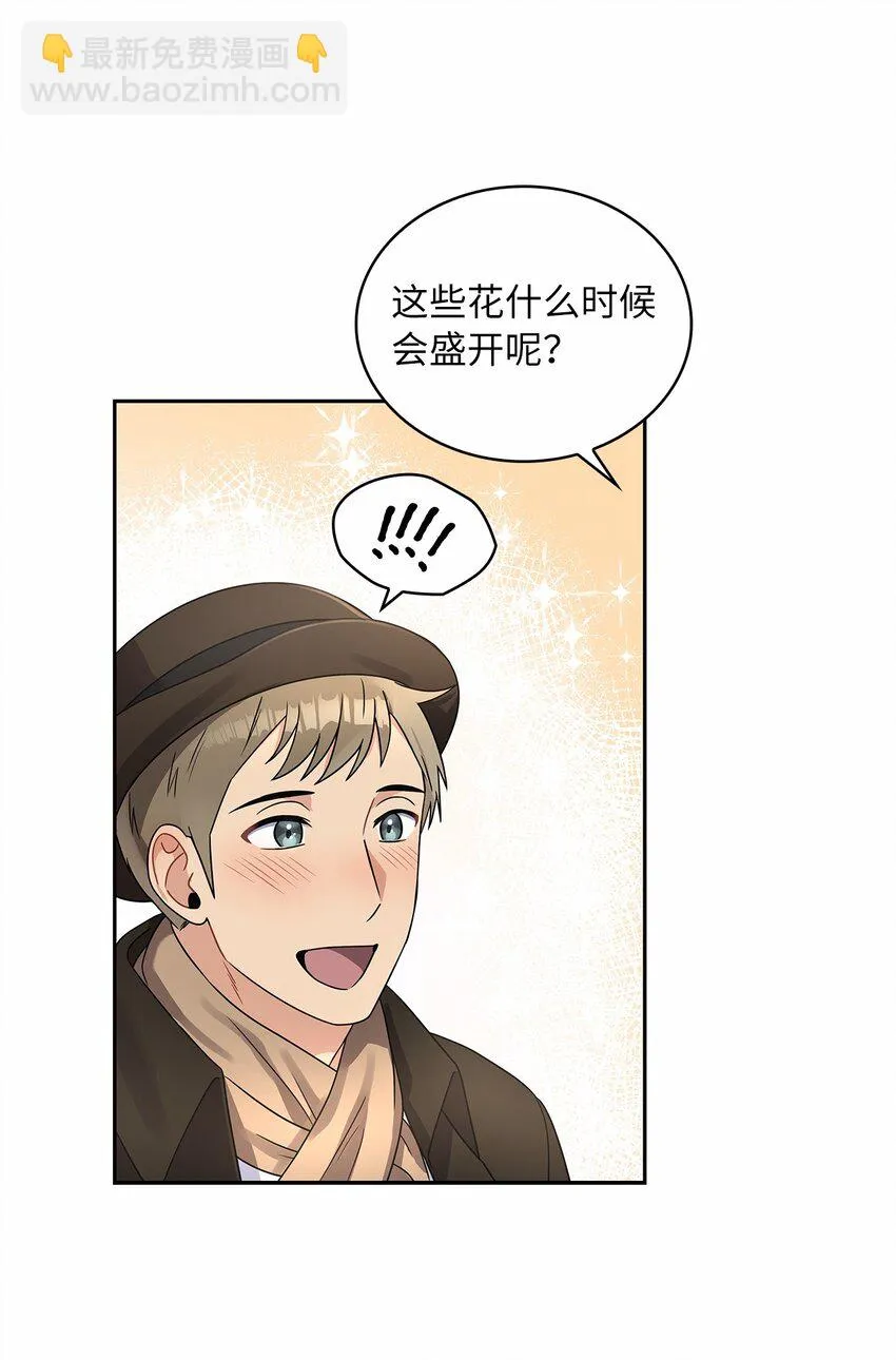 42 金灿灿的向日葵 第52页
