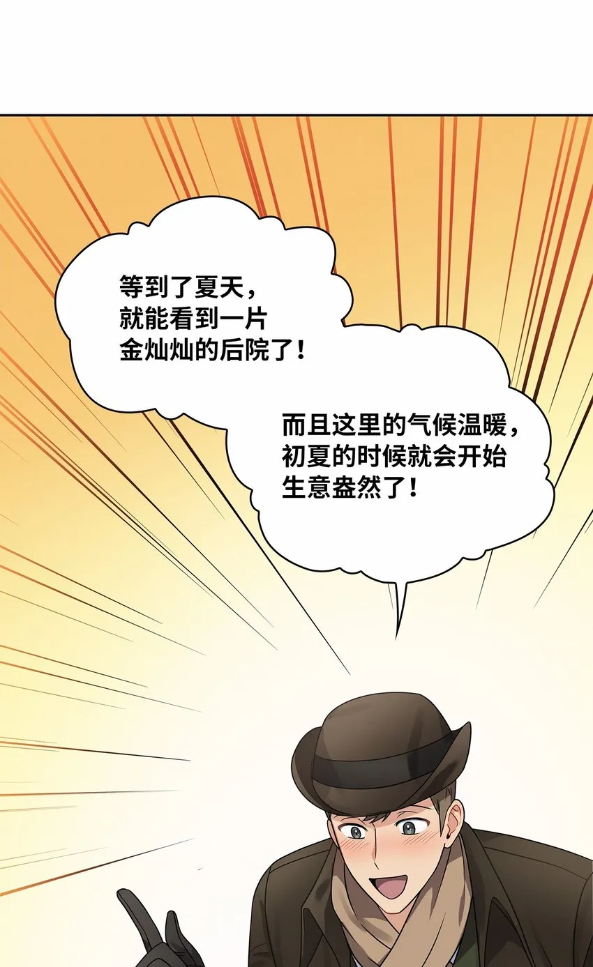 42 金灿灿的向日葵 第53页