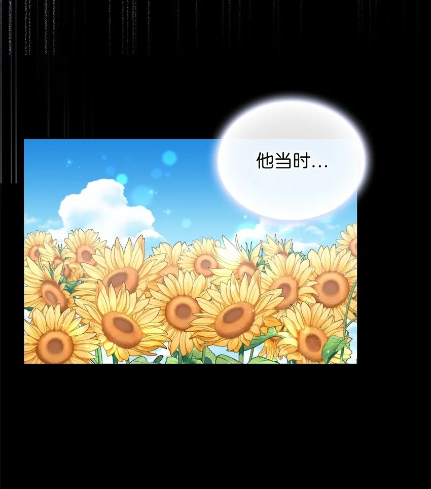 42 金灿灿的向日葵 第63页