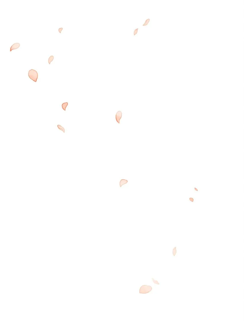 12 誓言 第55页