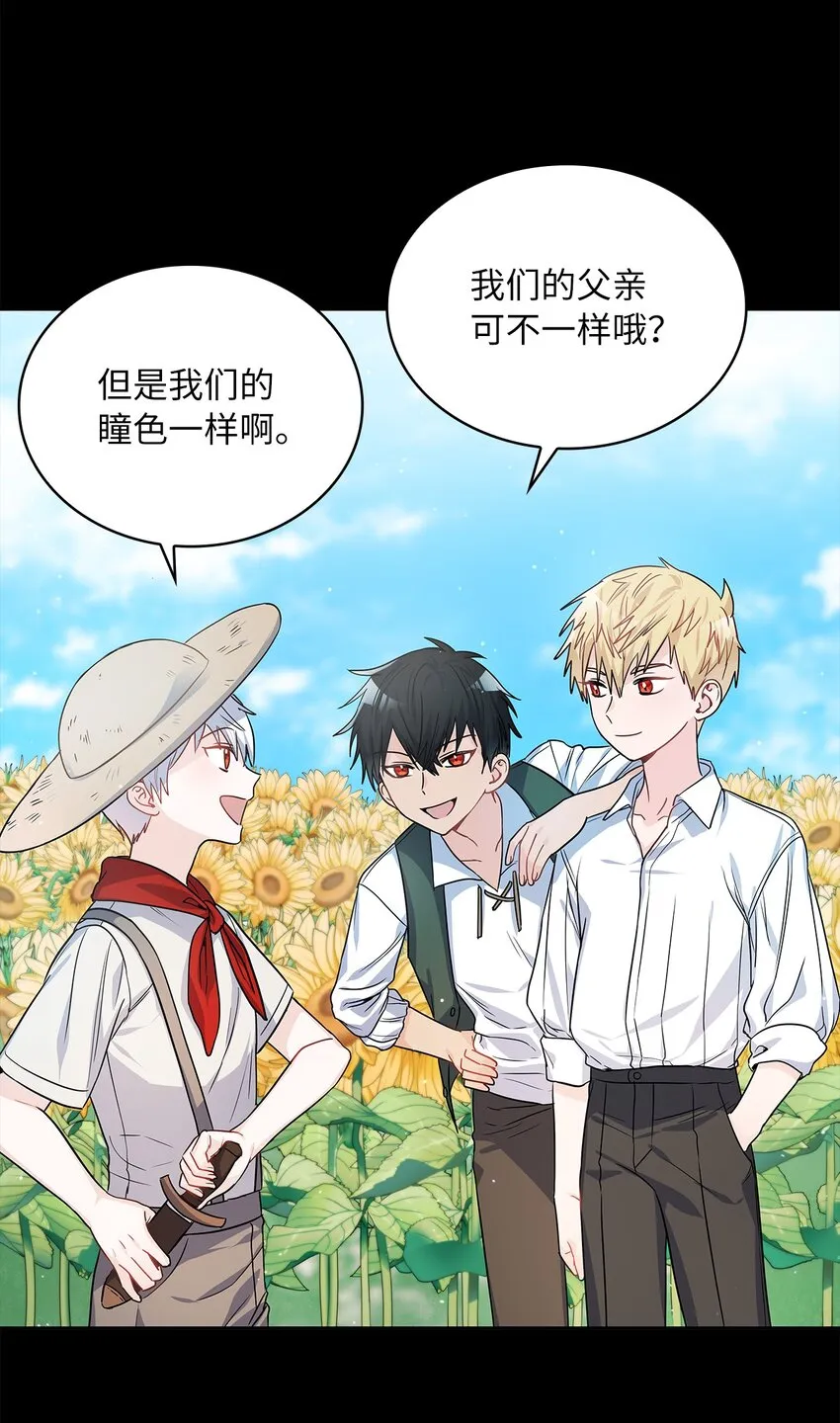 20 如珠宝般璀璨 第41页